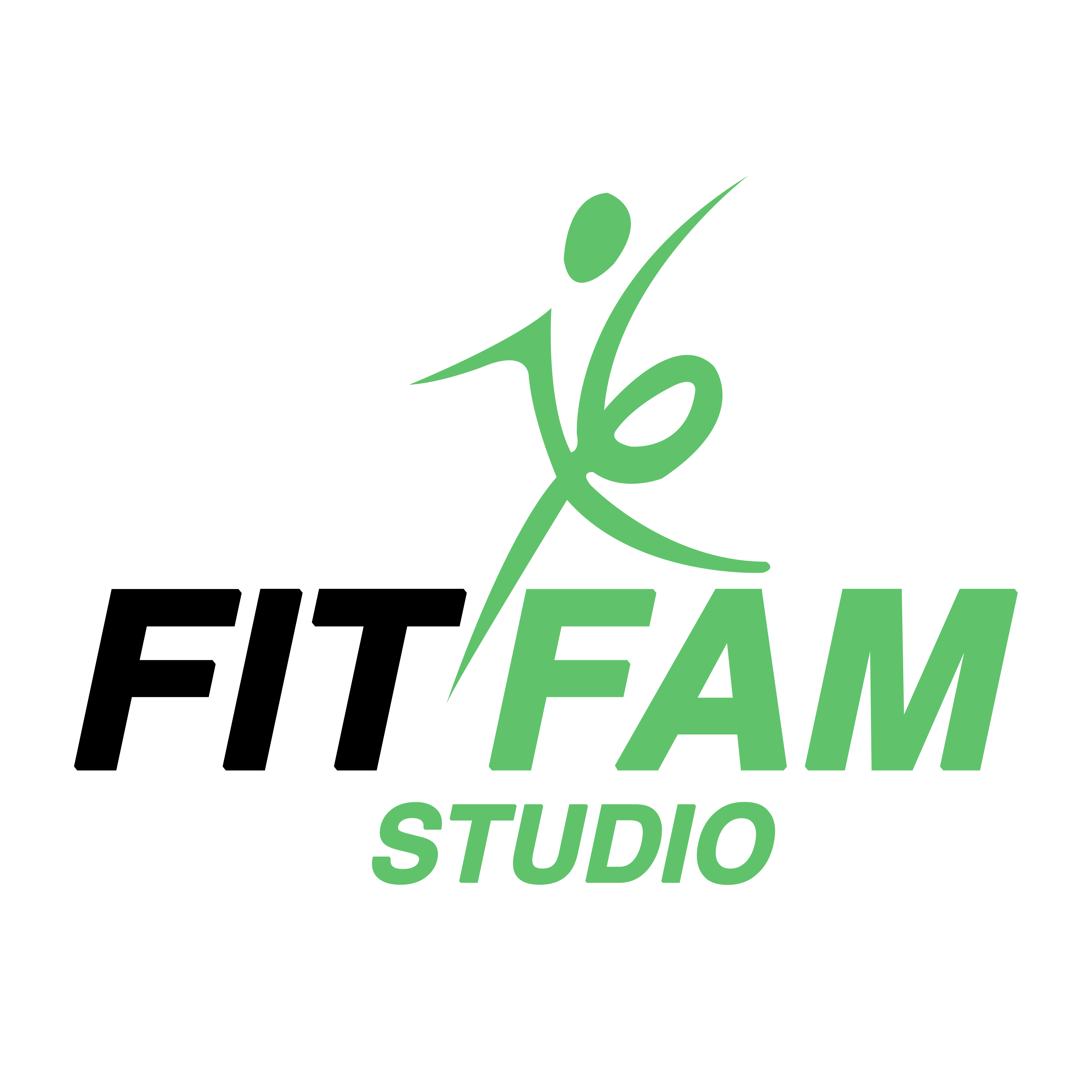 fitfamlogo